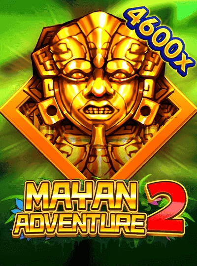 wm555